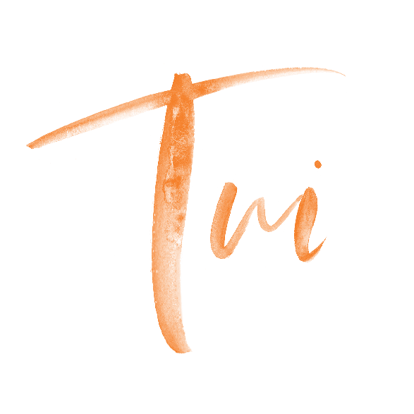 tuifleming.com