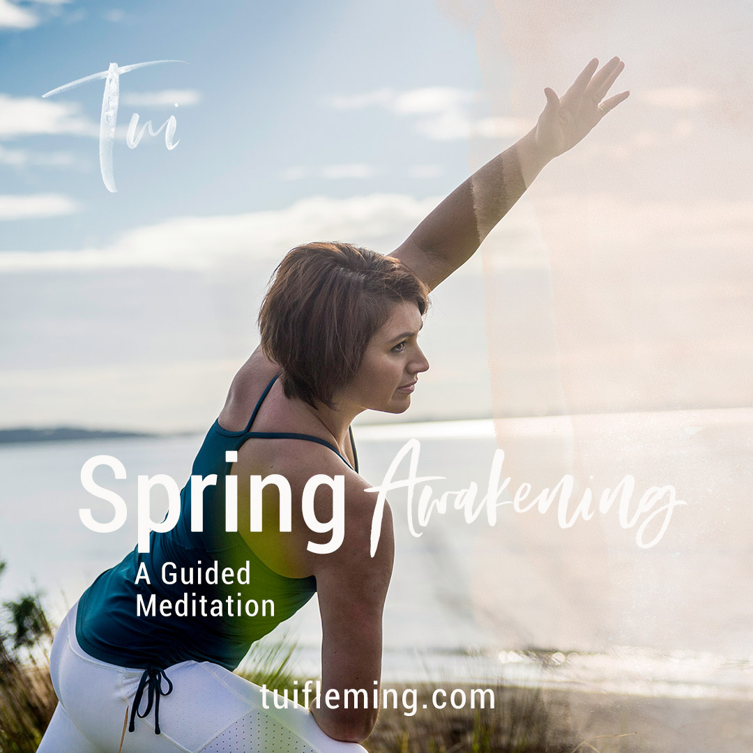 spring-awakening-meditation-tui-fleming-cover spring-awakening-meditation-tui-fleming-cover